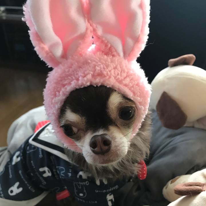 3b30da91 1aa0 4ecf 95b6 6d260630ad86