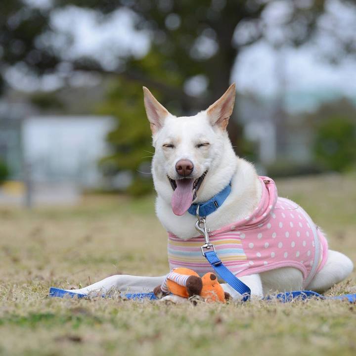 3b30e0c3 a781 47b8 acd5 62588a2feccd