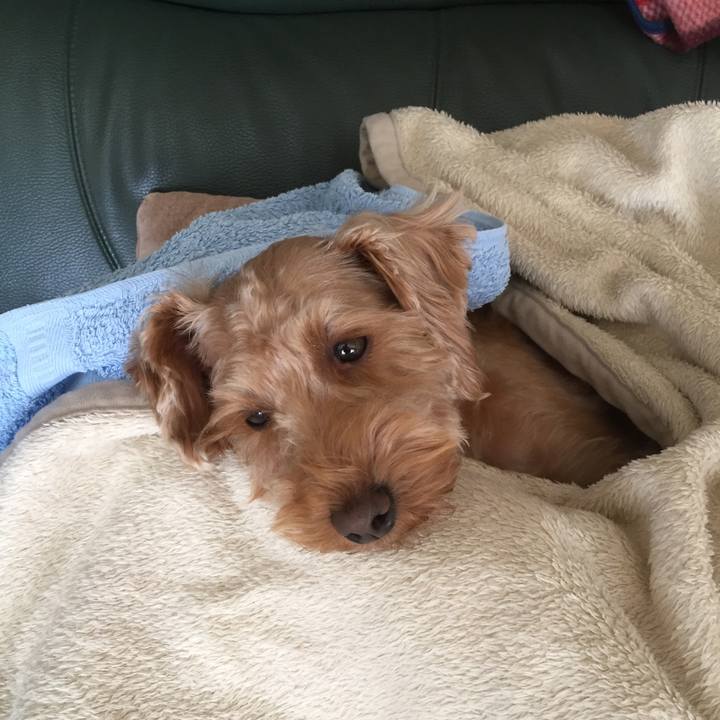 3b312fc1 c404 4bef 9f6f 21934806305f