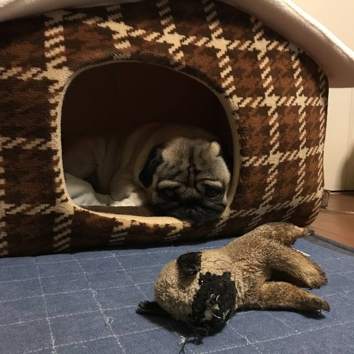 3b320f35 4db5 400d 9d3c 5a104ae76a51