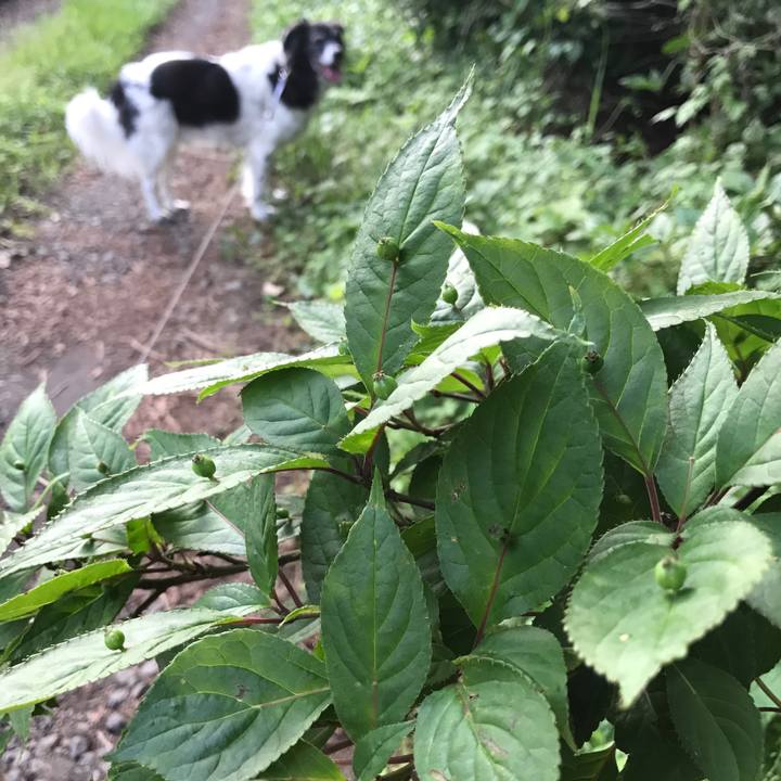 3b326771 2d0e 4041 9f42 874c599bed55