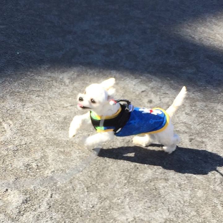 3b32c9e9 f220 4f06 9075 b40b65aa60f4