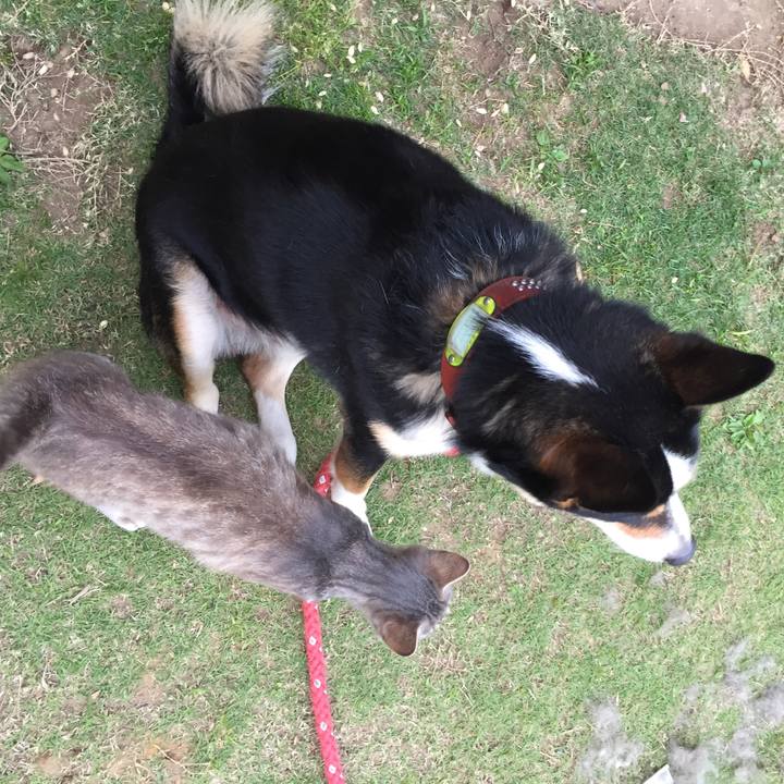 3b32fa59 34ad 43fc 9269 1aa41077afd5