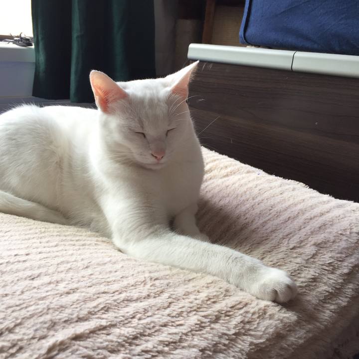 3b33dc71 b30d 430f ad8e 024f0abee90c