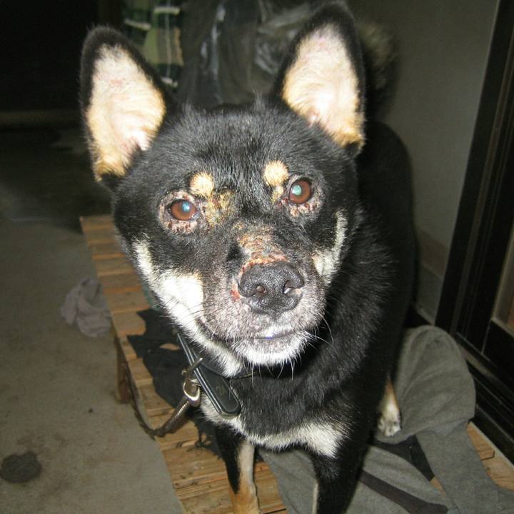 3b34efa5 83e4 4a6f af7e 05a69ed7baaf