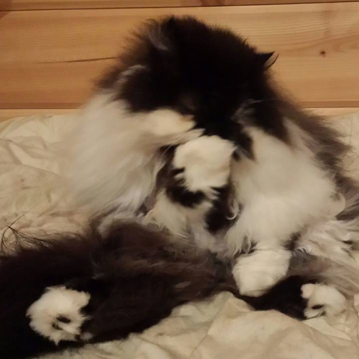 3b350627 2df9 47d6 ac90 79685a4195d8