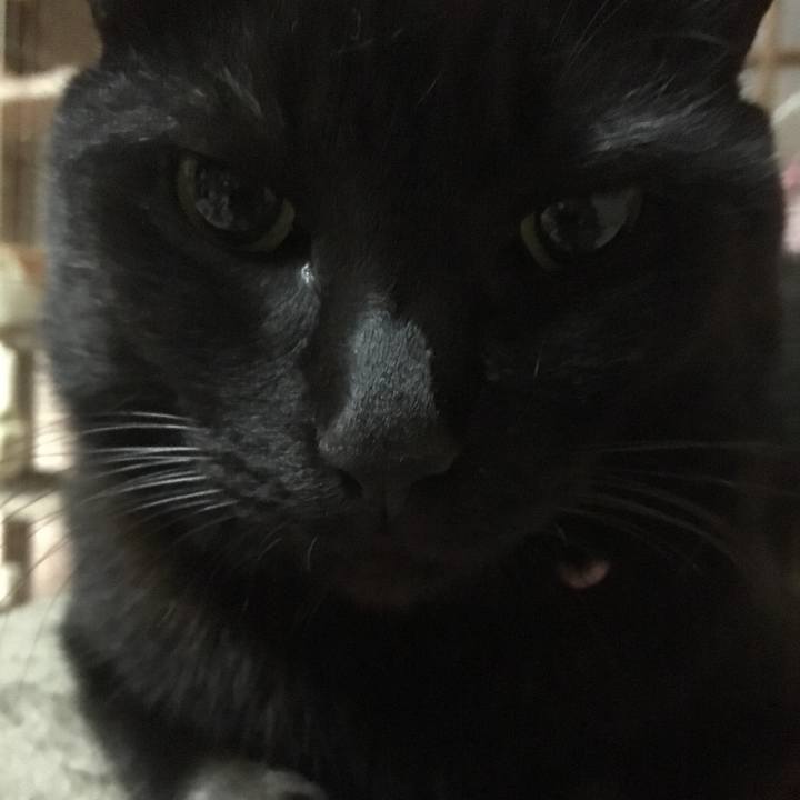 3b3594bf 9401 4ec1 ae73 e0cf7329ad74