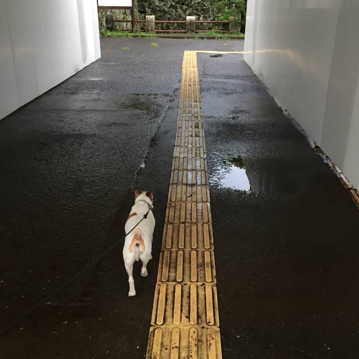 3b35b454 908e 457f b19e 2fac45559012