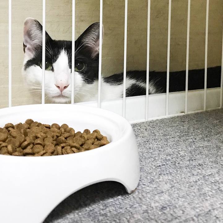 3b36529e bbff 441a 9da9 cc9635765f11