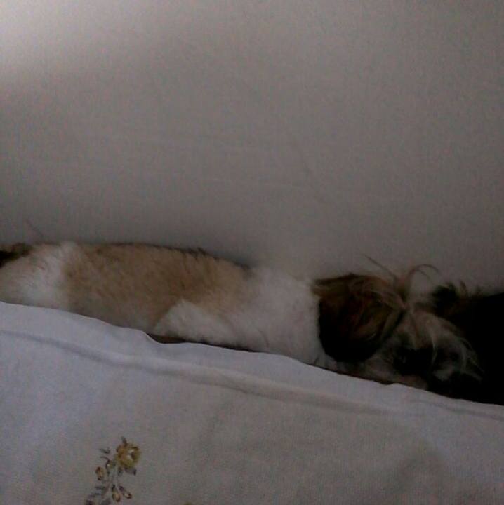 3b36916f c641 4880 b825 66e9f4f5fc8f