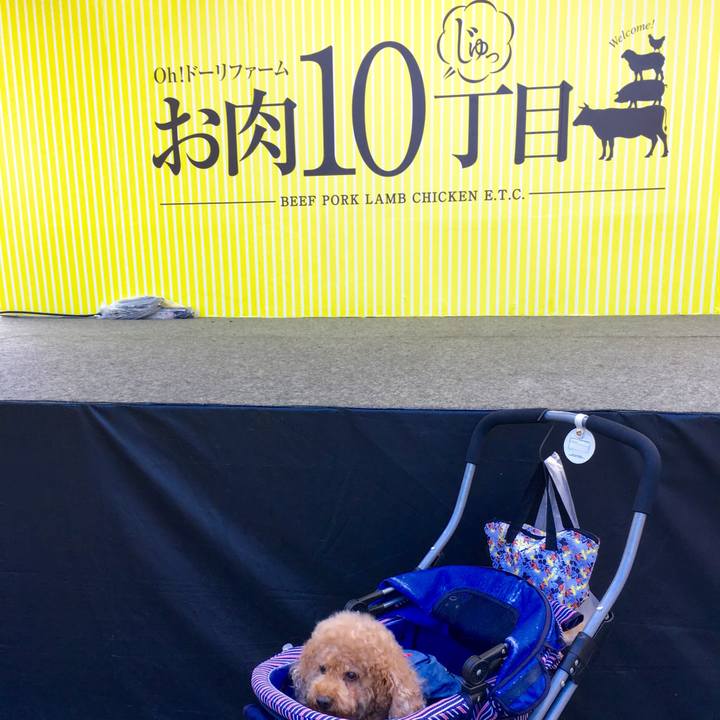 3b3726bc a911 41dd bc0d 5164a9627eb8