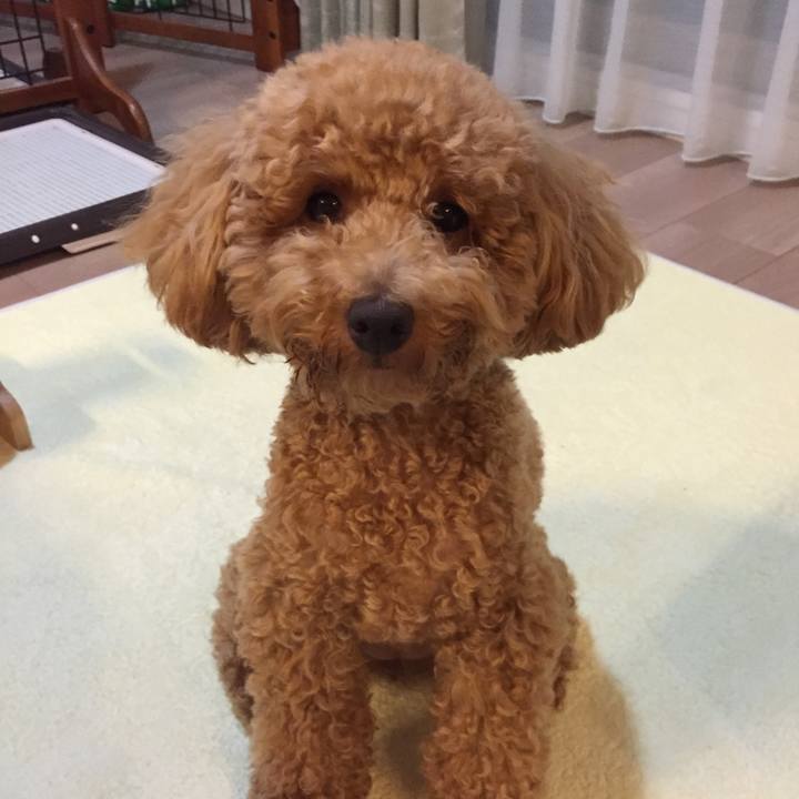 3b3734e6 f5c1 4fb2 bf35 c38db213f87b