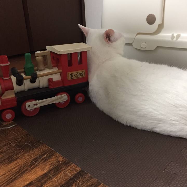 3b3736a3 e019 46c6 8dca 872e28475d50