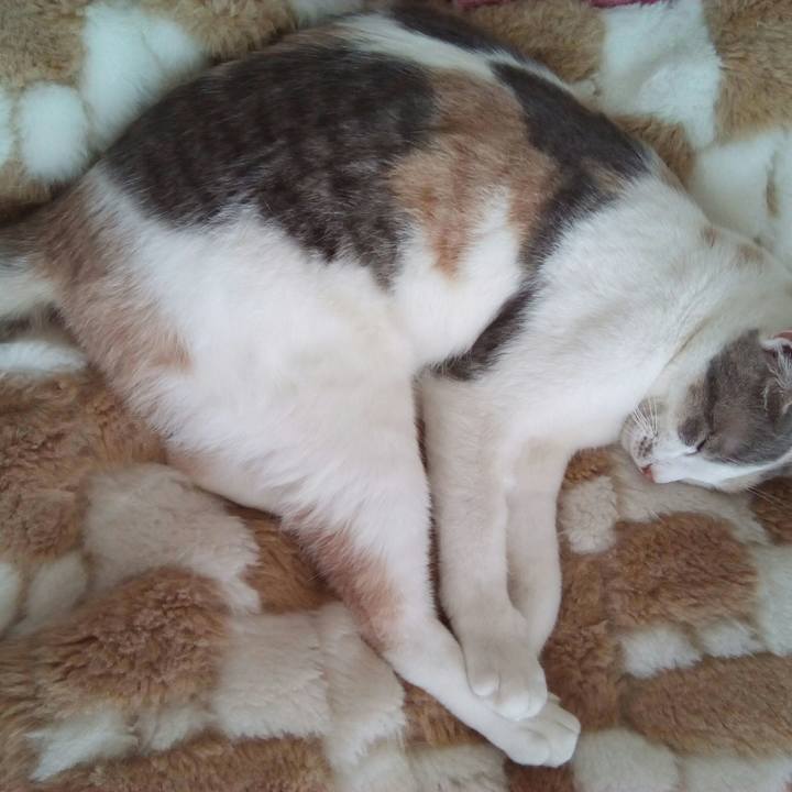 3b3764d1 20ae 47ab bd86 69355d930e63