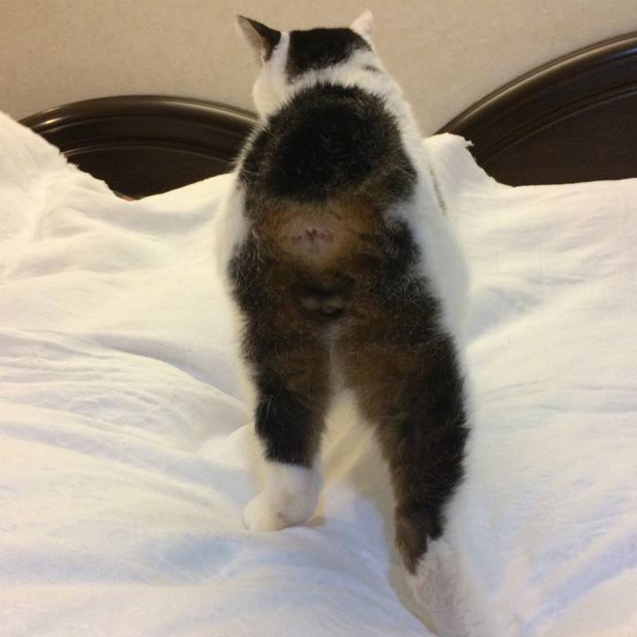 3b37b925 d7c2 492f 8dc5 99cc1666a576