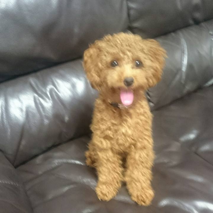 3b396f27 1374 45b7 9d55 f4ca5419f474