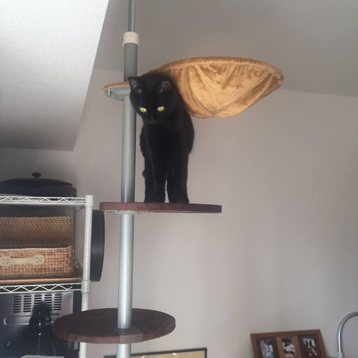 3b397978 e296 4c43 9fc6 659e1e239736