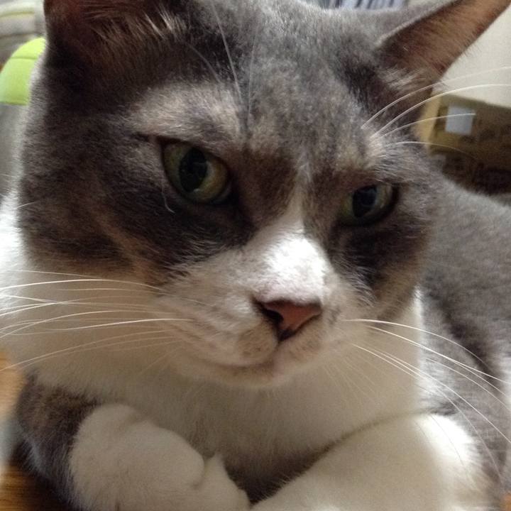 3b397b8c 78a5 4412 ad2f e8696a11507b