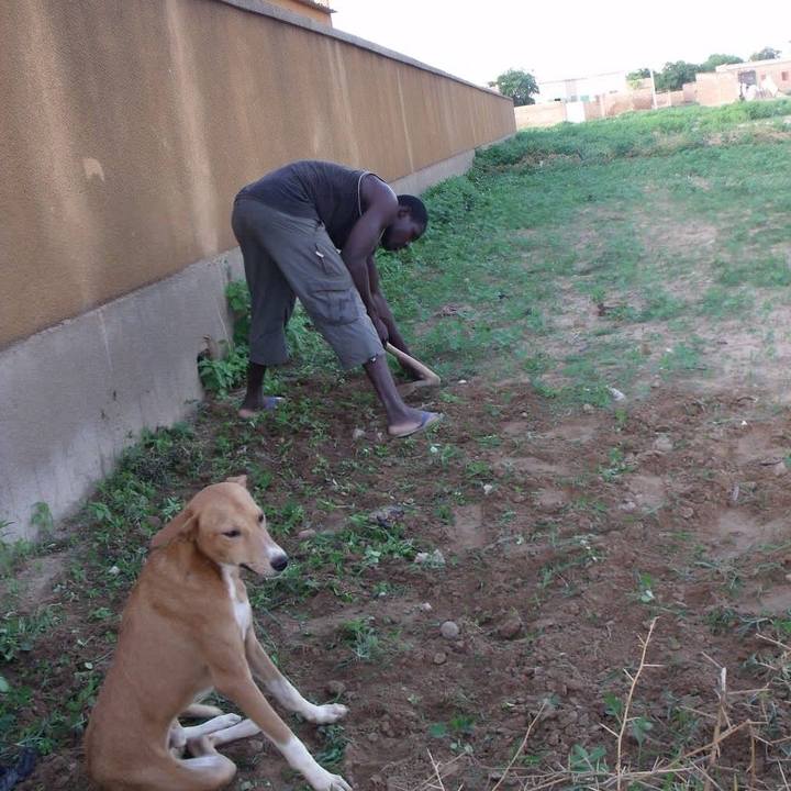 3b3aadbf c280 4660 a35b 062f65fb65df