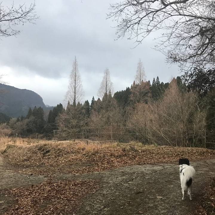 3b3ae08e 27fc 4f90 8dfc cf330a4bf240