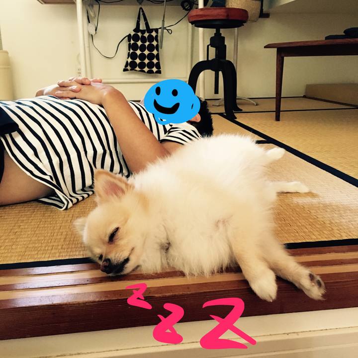 3b3affbf 9cfd 4d44 9663 25e1f88b3905