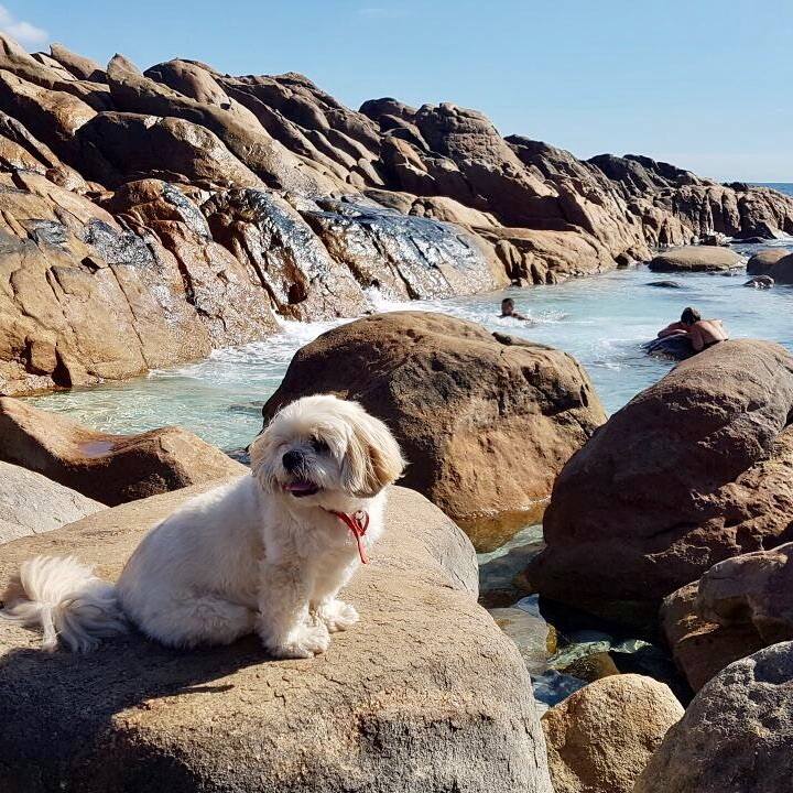 3b3b04eb d0ae 462d 9404 71edf87c8956