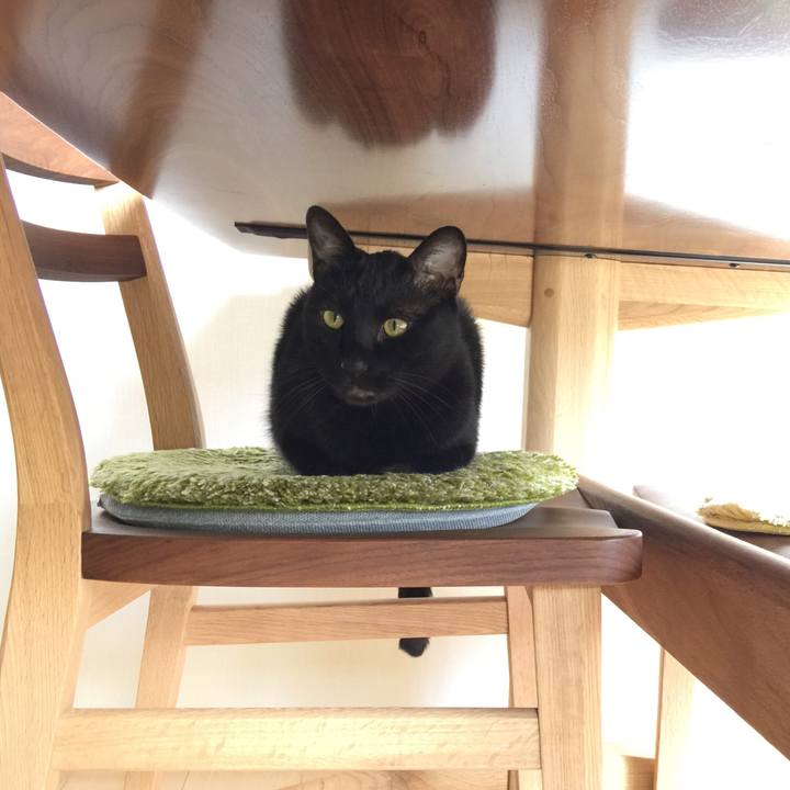 3b3b41a4 ebe1 4a46 a044 c22118009b4b