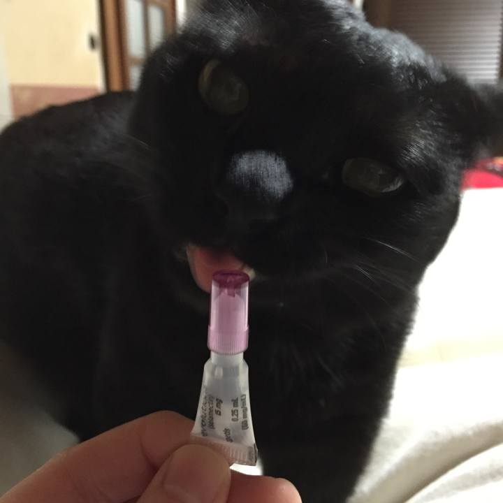 3b3bc81e ad32 445f b88d 6af8a52ed3dd