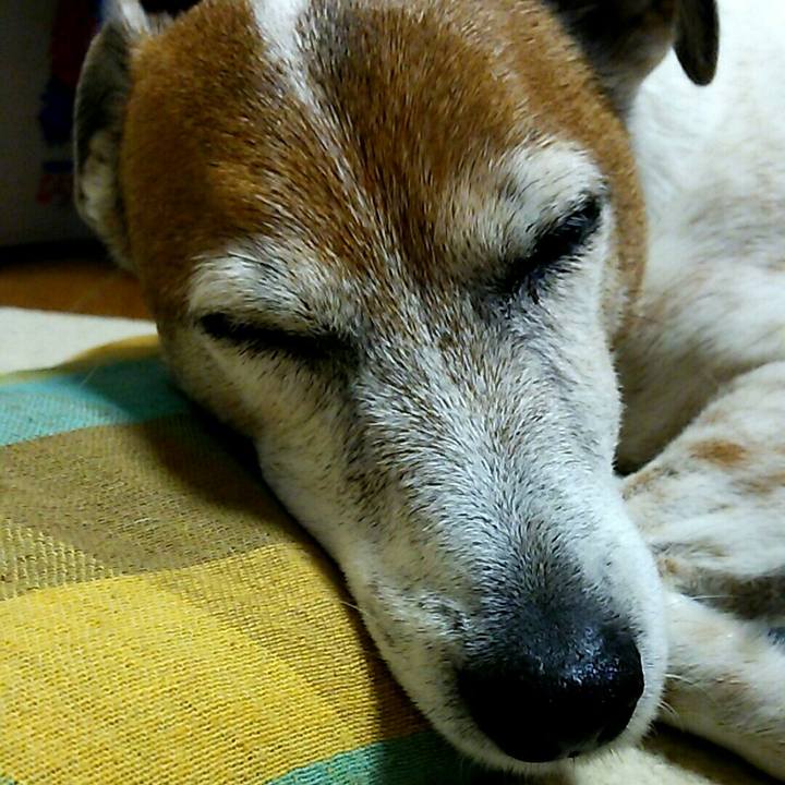 3b3c228f 3eae 4225 aedc ac3accd9b127