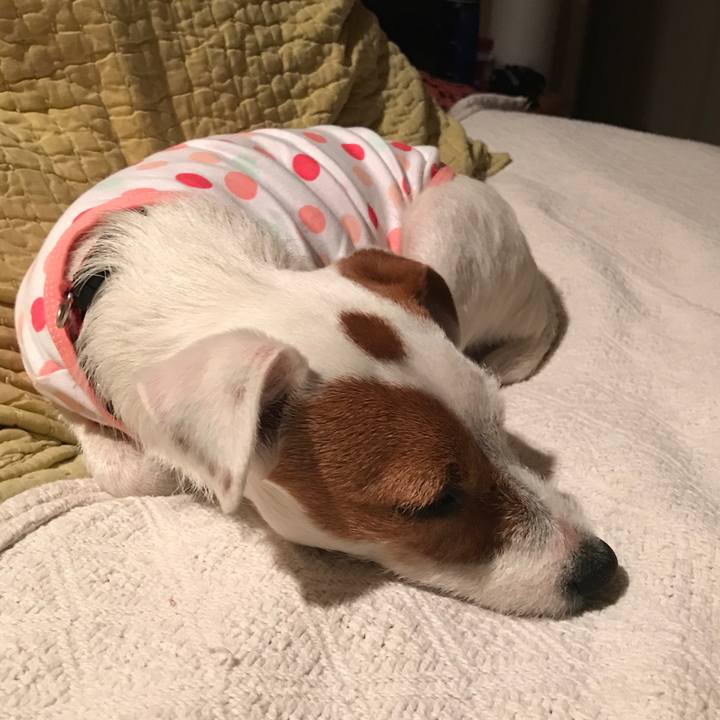 3b3cbeef 356b 4bf9 bf80 42d318a329ec