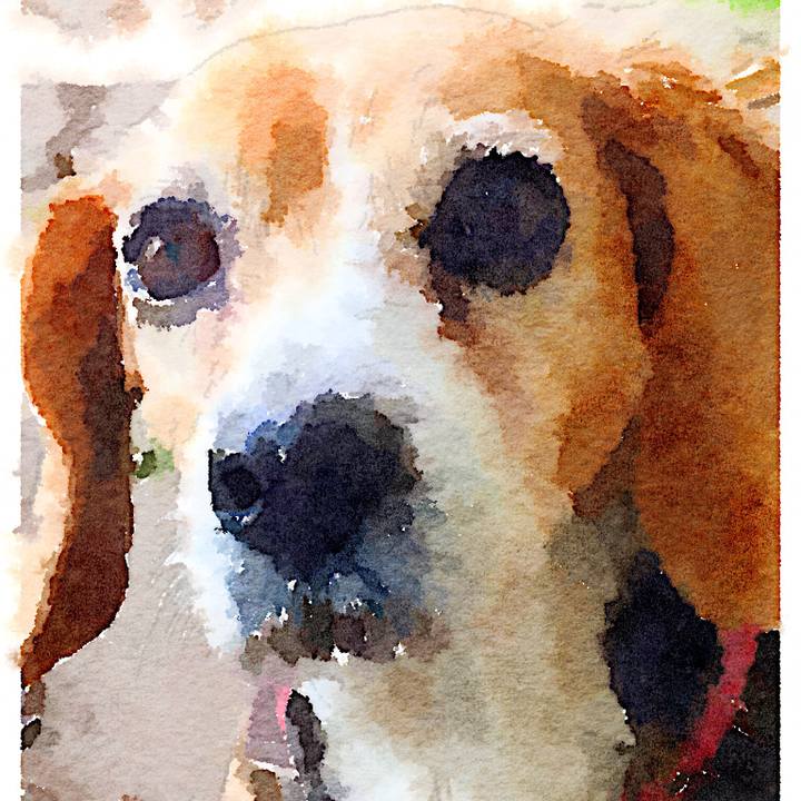 3b3cc570 3820 4fae 8f08 8b4fa648d24c