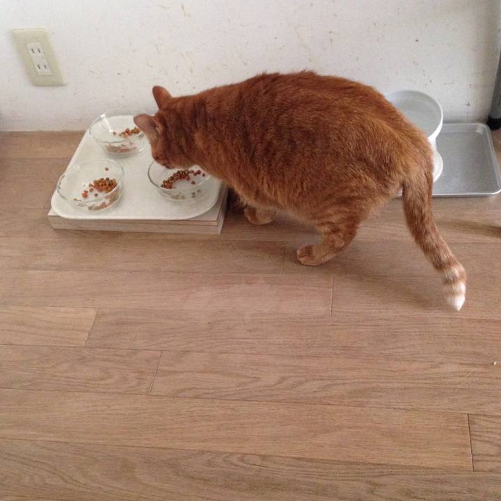 3b3cf211 2744 430e 87f5 35bf1f00fb0b