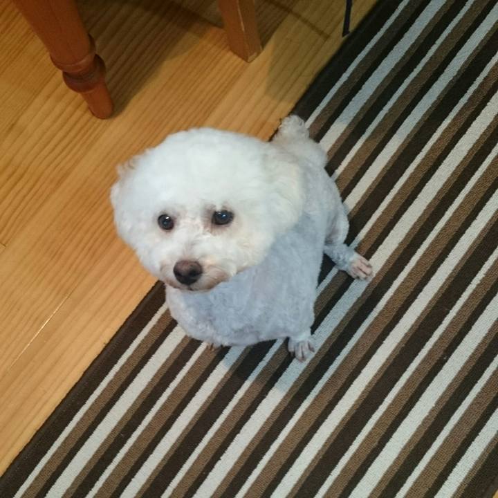 3b3cf601 41c4 41ff b480 e6af1a94d585