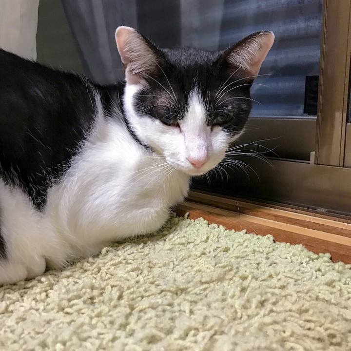 3b3d82e7 01f6 463f be24 c67efde6d74c