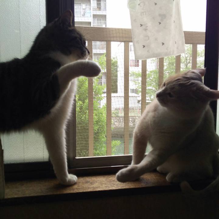 3b3d898b 8cf4 4733 8c21 0f1e472162d9