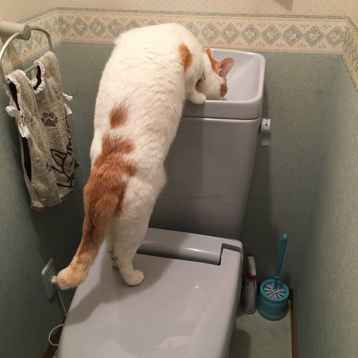 3b3dbcc8 b7cf 4437 a345 5244478d6ef1