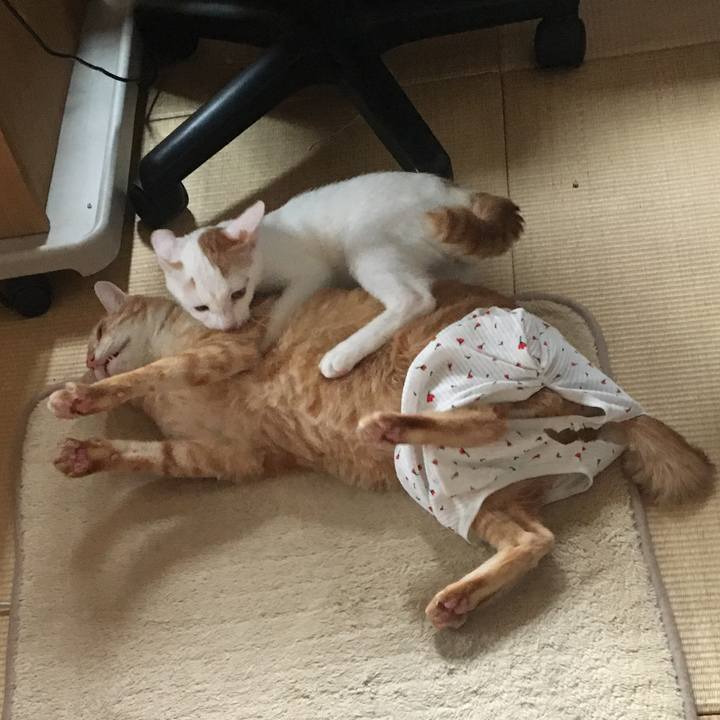 3b3eeeb4 8f97 4880 b140 71b82f4ada6c