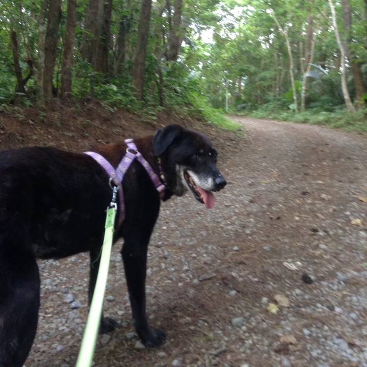 3b3ef30d fd48 412f a19e 4bf747512b87