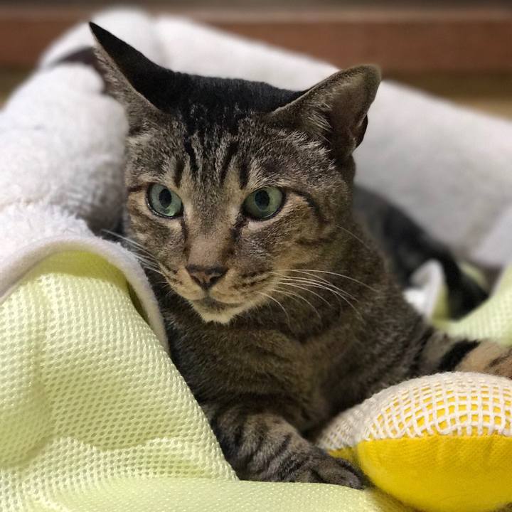 3b3ef334 5bd8 491e a33f a3cbd15eb9a1