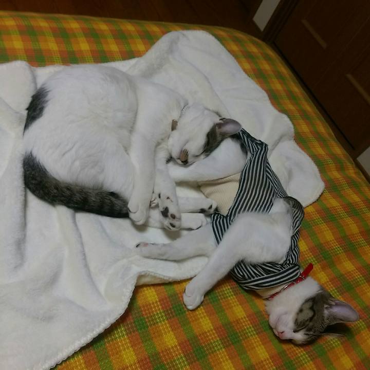 3b3f1078 f502 4b12 a8c4 91ed7e886356