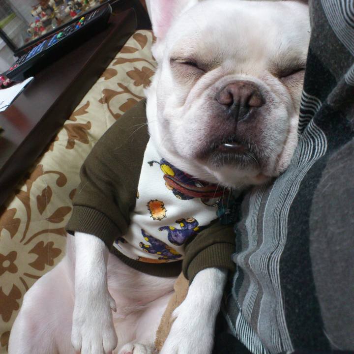 3b3f1dee 8b4f 4a55 9219 961c093d5e9b