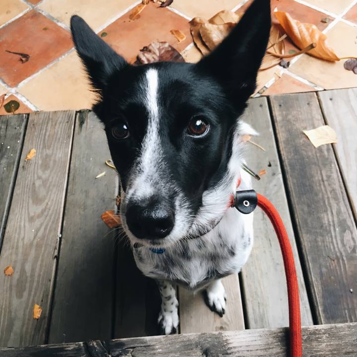 3b3f4c29 4730 45ff ac0d 6f3e9070526a