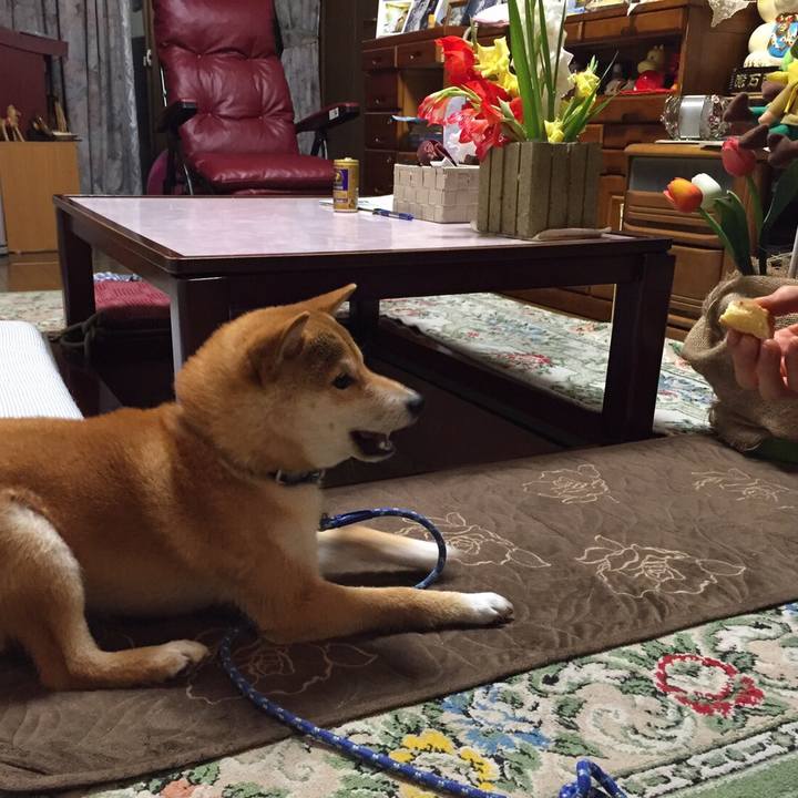 3b3f7214 4c29 478d 8680 b8dba63c10a9