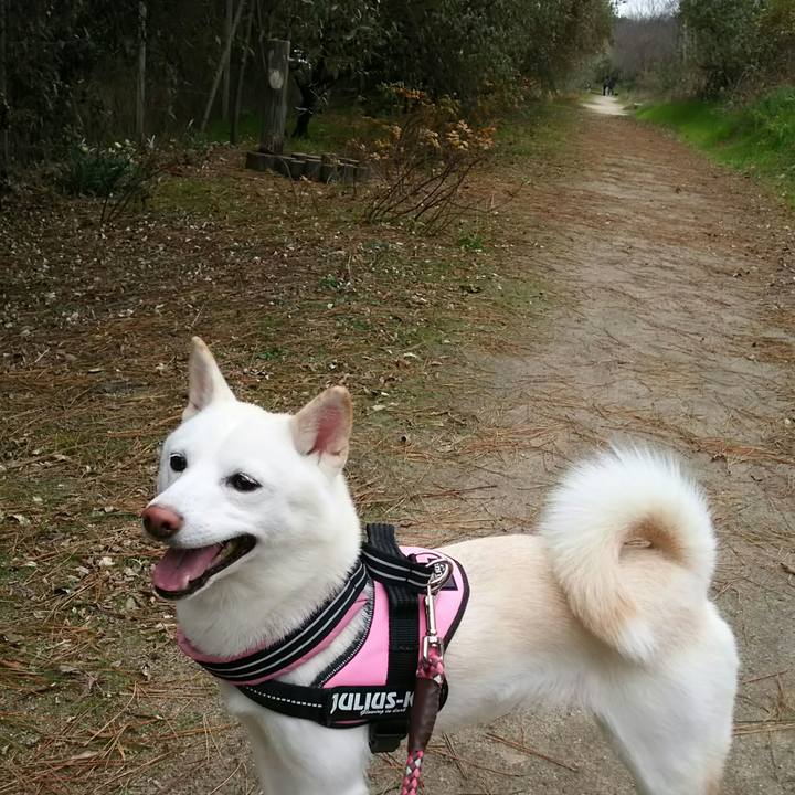 3b3ff303 5058 42e1 8387 3ce052d92980