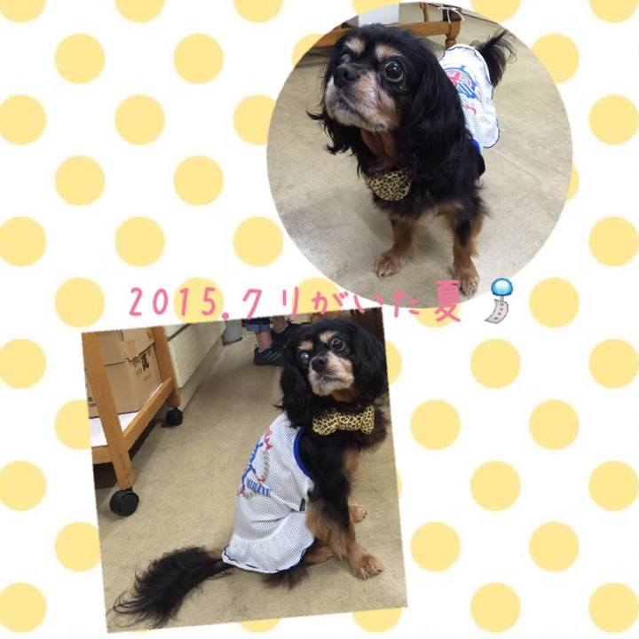 3b40e906 34fd 42dc 8cf9 3c75e101bee4