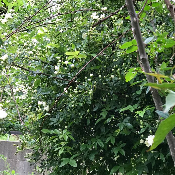 3b411ceb cad9 4128 89be 70f092e14495