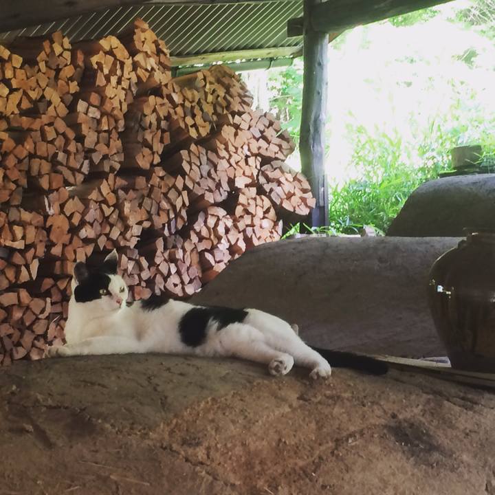 3b418be4 1d80 483c b21c bcab42444359