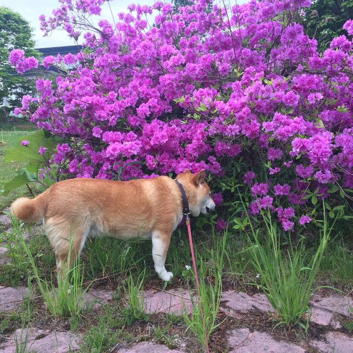 3b4213e3 d525 4ba4 bb78 7b57eba0a3aa