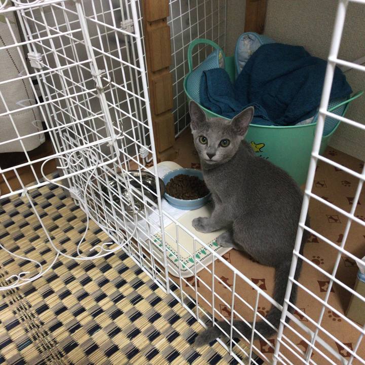 3b426834 8120 44f6 959e 97d3bd0fb0ce