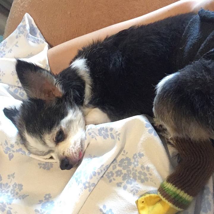 3b42ec4c 4465 4590 9606 3f5039bd342a